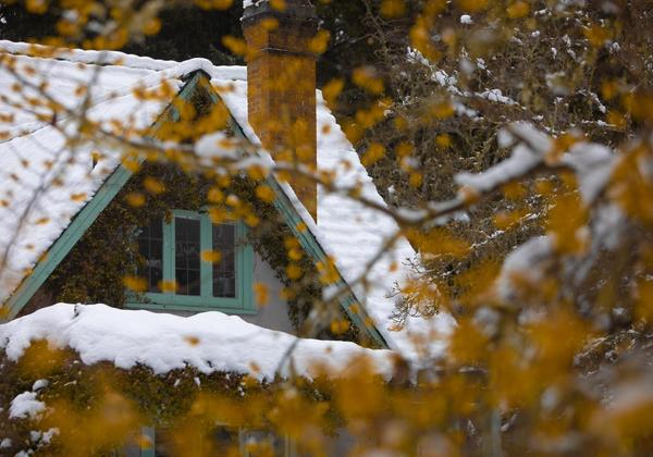 Cottage covered in snow 