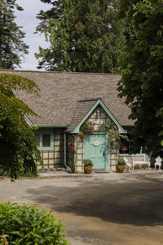 Front door of a cottage framed by lush green trees. 