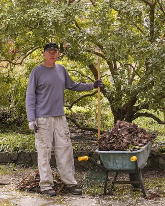 Man standing in a garden next to a wheelbarrow full of leaves holding a rake
