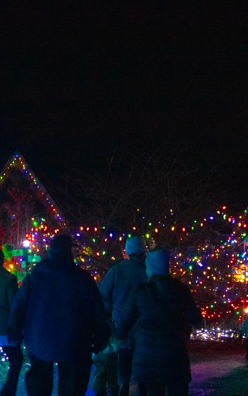 People walking through a garden at night, glowing with thousands of multicoloured Christmas lights.